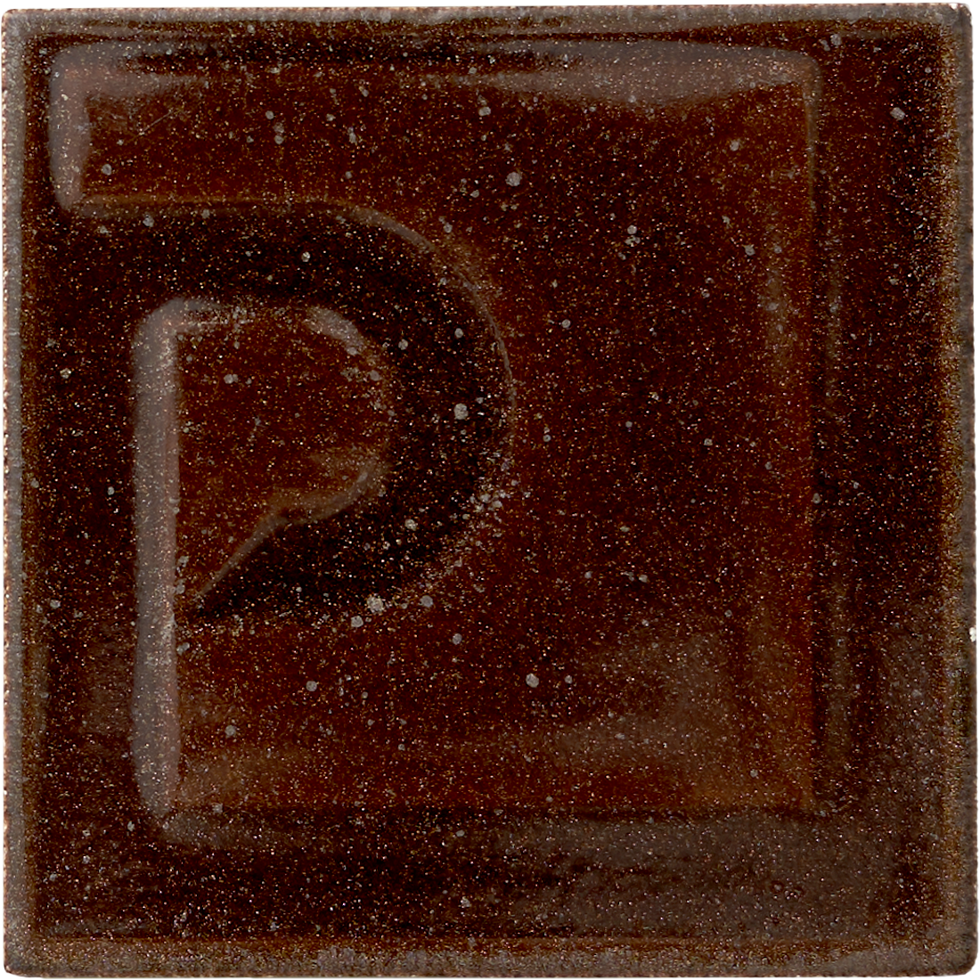 E-17/81 LUSTRADO NEGRO